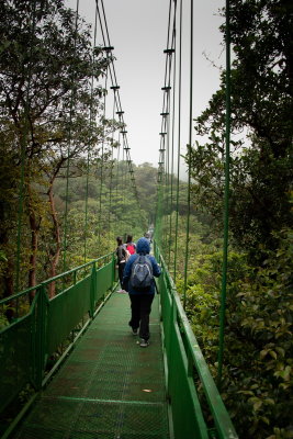 R_190304-054-Costa Rica - Monteverde - Park Elvatura.jpg