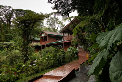 R_190304-063-Costa Rica - Monteverde - Park Elvatura.jpg