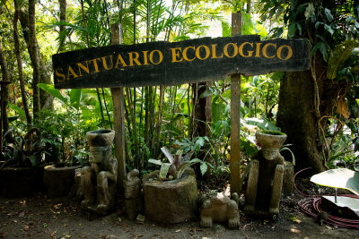 R_190304-064-Costa Rica -  Monteverde - Sanctuario Ecologico.jpg