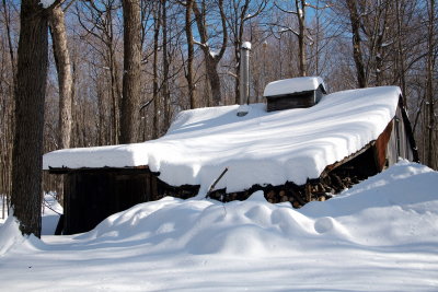 RM_2020-06 Sous le poids de l'hiver.jpg