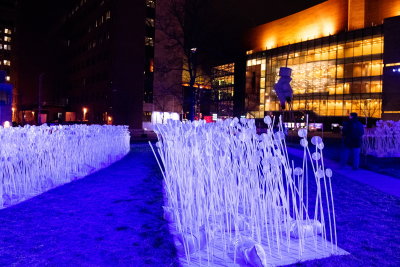 211217-13-Montreal - Ambiance de Noel.jpg
