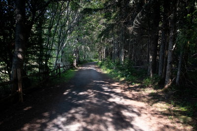 220715-308-Parc du Bic.jpg