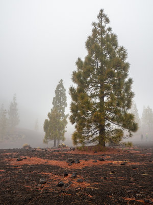 Mount Teide (somewhere in the mist)