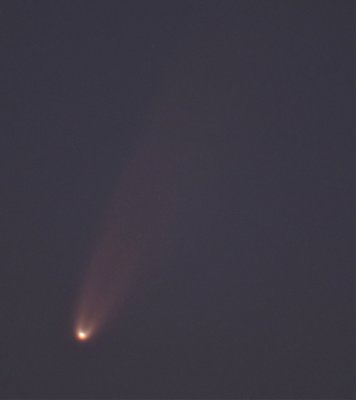 comet neowise July 5 Celestron 8 scope f6.3 reduc comp.jpg