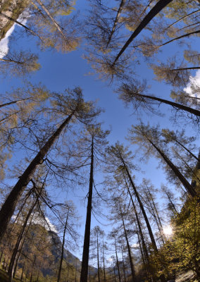 Fisheye view near Sonogno