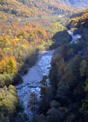 Val Bavona