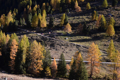 Near Siviez