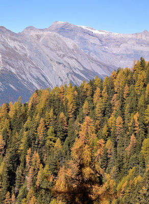 View towards Diablerets