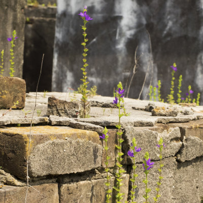 St. Louis Cemeteries, 1 and 2