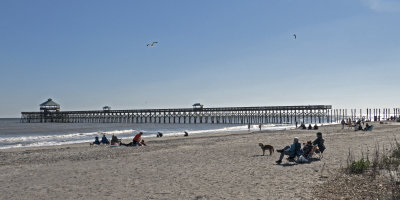 Dismantling the Pier