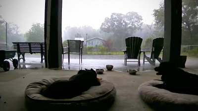 boys on a rainy day - (Arlo security camera shot)