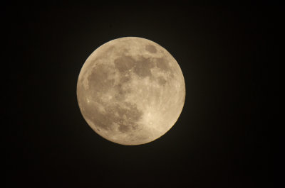 g12/33/597633/3/171667912.3LSxIXKH.jpg