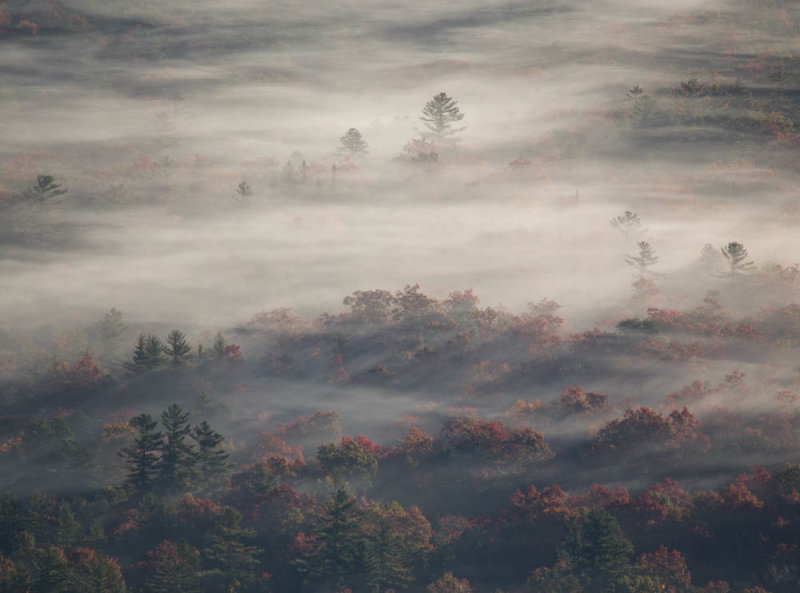 Valley Fog & Light