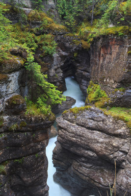 Maligne Canyon