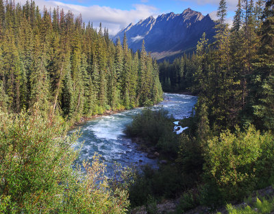 Morning Light in the valley