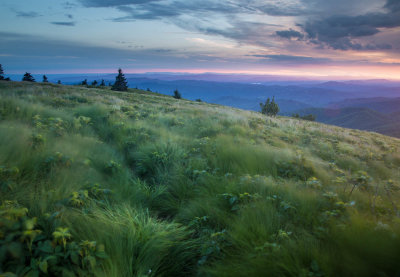 Mountain Winds