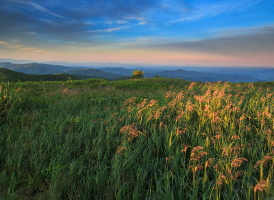 Fading Summer light