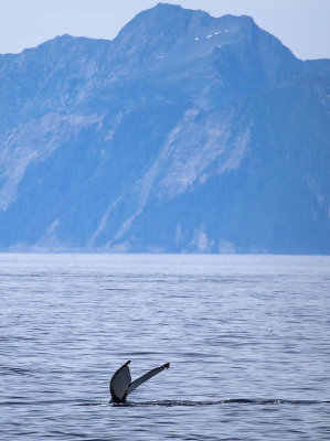 Kenai Fjords N.P