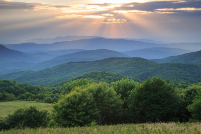 Max Patch