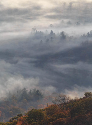 Valley Fog