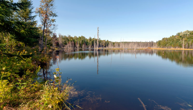 Beaver lake