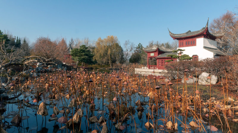 Jardin chinois