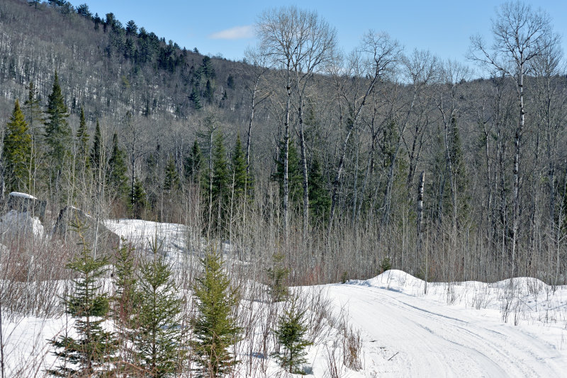 La piste