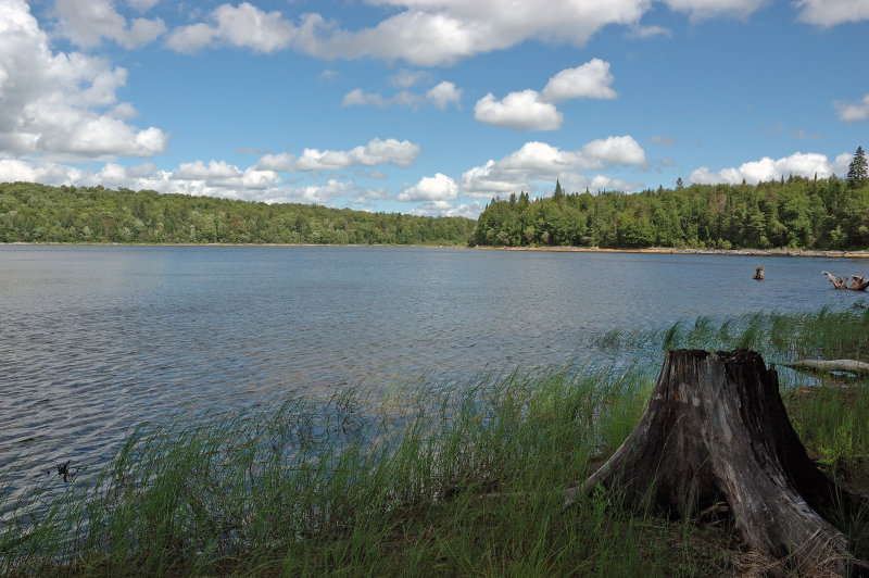 Where the stream meets the reservoir