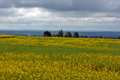 Le rang Saint-Charles