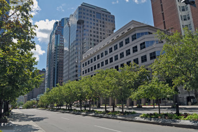 Avenue McGill College