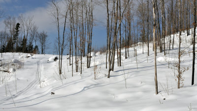 Le manteau blanc