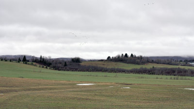 La vallée de la Lièvre