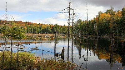 Québec - Nature et Parcs