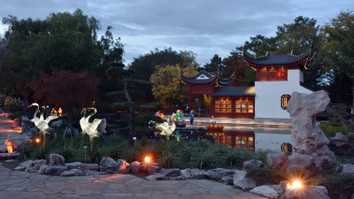 Les lanternes au jardin chinois