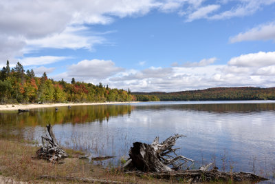 Les premiers signes de l'automne