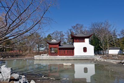 The Chinese garden