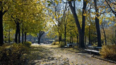 Parc Lafontaine