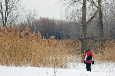 En raquette au Parc des les de Boucherville