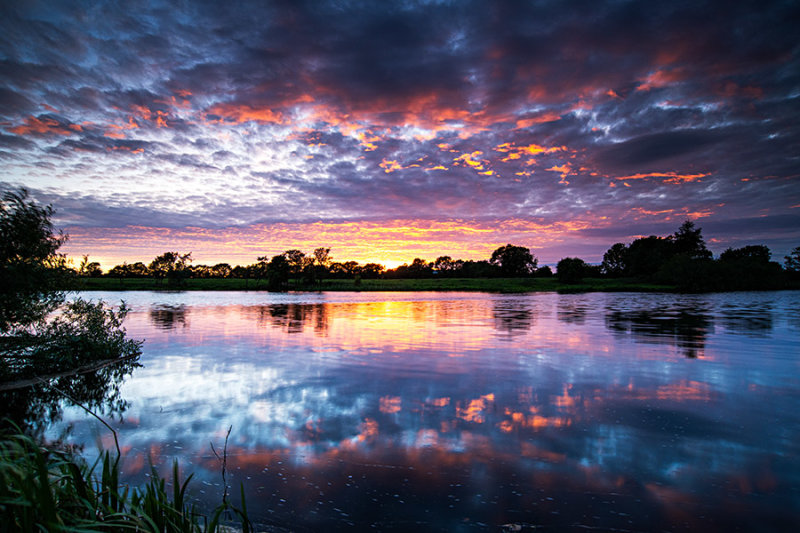 Shannon River Sunset
