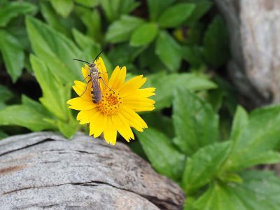 Nature_C251792