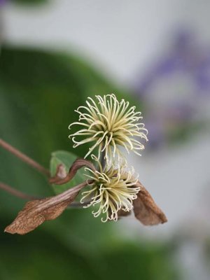 Nature_D9131845