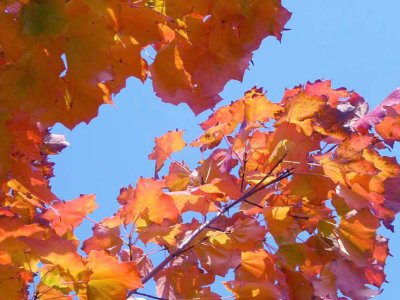 Nature_10090900