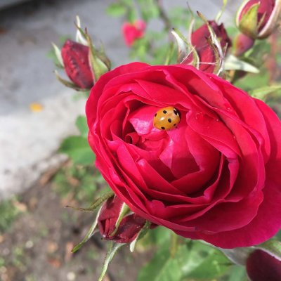 Nature_9240706