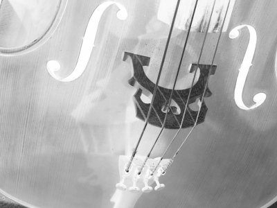 Whimsy_1031078BW