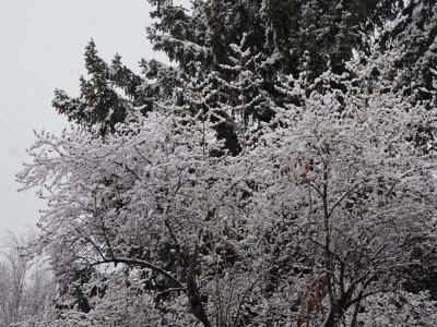 M120 5090803