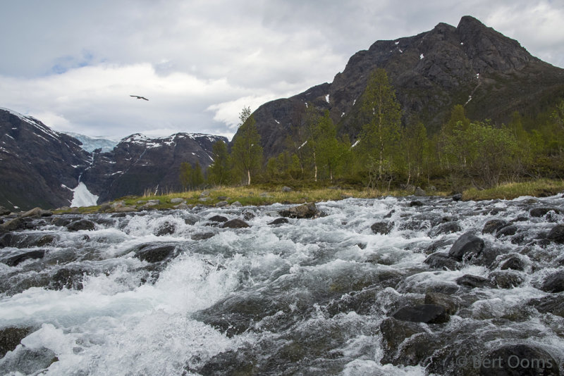 Øksfjordjøkelen glacier PSLR-4374