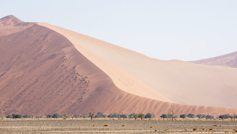 Sossusvlei PSLR-3258