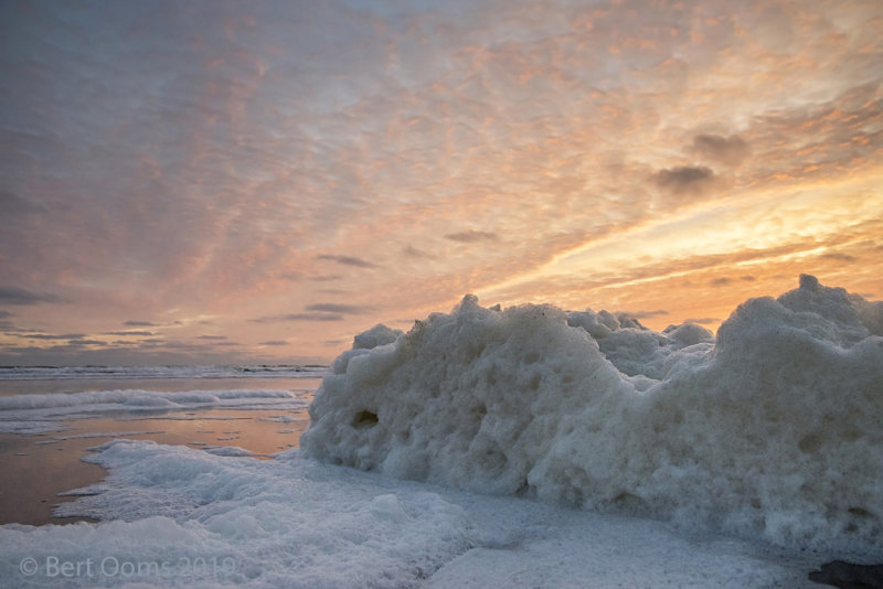 Ameland - nature views