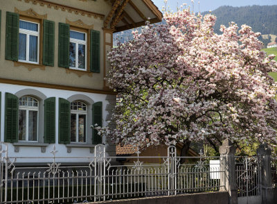 Spring in Bernbiet