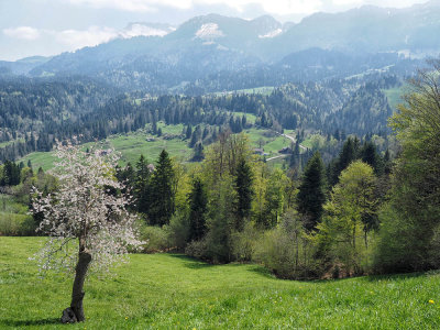 Schwarzenberg in spring